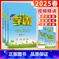 [2025春-学霸]语文+数学+英语 (5下3本-江苏适用) 小学五年级 [正版]2025春24秋小学5星学霸大试卷作业