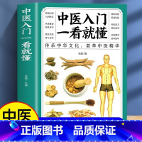 [单本]中医入门一看就懂 [正版]中医养生基础书籍大全中医基础入门脉诊一学就会自己学中医中医自学百日通中医养生经典自我中