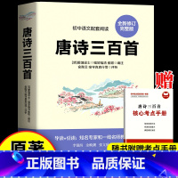 唐诗三百首 九年级 [正版]唐诗三百首全集 九年级上册选读原文注释译文全解详注中国古诗词鉴赏完整版300首传统文化国学