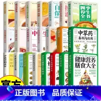 中药材百科 [正版]家庭中医养生大全 全32册 贴近普通老百姓生活的保健工具书 一看就懂一学就会一用就灵 中药材百科 健