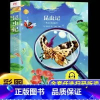 昆虫记 [正版]昆虫记小学生 彩图注音版一年级阅读课外书必老师推读二三年级荐小学生带拼音儿童经典文学读物童话故事书籍原著