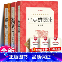 [全3册]童年+爱的教育+小英雄雨来+考题册 [正版]! 童年 高尔基 青少年版书原著完整版无删减小学生版 五年级