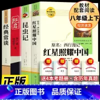 [人教版]八年级上册+下册必读全4册 [正版] 昆虫记 人教版人民教育出版社 法布尔原著无删减 小学生三年级四五六初中生