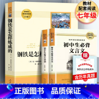 [全3册]钢铁+必背古诗词+必背文言文+考点 [正版]赠考点 钢铁是怎样炼成的人教版初中生小学生完整版奥斯特洛夫斯基老舍