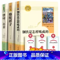 [订单]45套三本的 [正版]送音频和考点经典常谈朱自清八年级下册阅读名著导读和钢铁是怎样炼成的人教版原著完整版无删