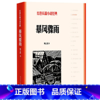 [正版]暴风骤雨 红色长篇小说经典反映中国东北一个名叫元茂屯的村子从1946年到1947年土地改革的全过程 人民文学出