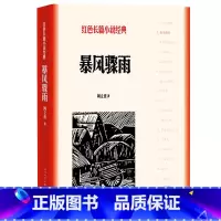 [正版]暴风骤雨 红色长篇小说经典反映中国东北一个名叫元茂屯的村子从1946年到1947年土地改革的全过程 人民文学出