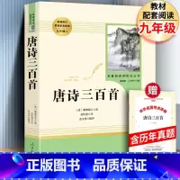 [人教版]唐诗三百首+考点 [正版]人教版泰戈尔诗集泰戈尔诗选全集 初中生版飞鸟集新月集原著九年级上册 初中版人民教育出