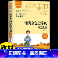 铺满金色巴掌的水泥道 [正版]铺满金色巴掌的水泥道张秋生著 小学三年级阅读课外书经典书目 适合小学生看的文学作品读物6-
