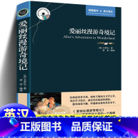 [正版]爱丽丝漫游奇境记 (英汉对照)英文原版+中文版中英文版书籍 中英文对照书籍学英语读物 英汉双语读物图书中英双语