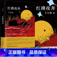 [正版]红拂夜奔 王小波 现代当代文学散文小说随笔 对趣味的向往的书 王小波著百日全集时代三部曲 黄金时代一只特立独行