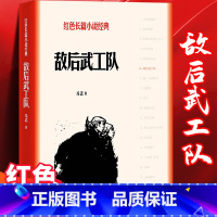 [正版]敌后武工队 红色长篇小说经典 冯志著 描写冀中军民抗日斗争故事的长篇小说 中国人民的伟大斗争精神 强烈的爱国主