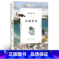 青铜葵花 [正版] 青铜葵花 完整版原版全套人民文学出版社 曹文轩作品原版小学生四年级下册初中生青少版课外书故事书全套天