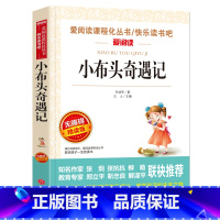 小布头奇遇记 [正版]小布头奇遇记 孙幼军 青少年小学生儿童二三四五六年级上下册课外阅读物故事书籍快乐读书吧爱阅读名著课
