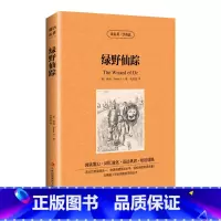 [正版]满件打折绿野仙踪中英文双语版 中英对照版英汉对照经典世界名著 外国文学长篇小说英文版原版英语版读物初高中生课外