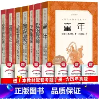 人民文学全7册六上阅读+六下阅读 [正版]全3册 童年+小英雄雨来+爱的教育 六年级上册快乐读书吧高尔基童年管桦著上册的