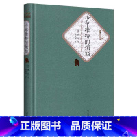 [正版]送有声书少年维特的烦恼 歌德著 杨武能原版原著 之烦恼全译本无删减青少版初中高中版世界名著小说书籍