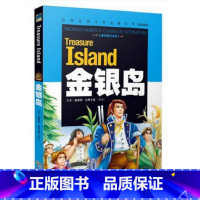 [正版]金银岛 儿童彩图注音版 云南教育出版社 世界文学名著书籍学生版儿童版小学生课外书1-2-3年级儿童读物5-6-