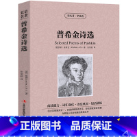 [正版]满件打折普希金诗选 中英文双语书籍名著读物英汉对照小说全套阅读 普希金原著 读名著学英语 高初中生课外阅读