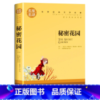 秘密花园 [正版]世界名著原版原著小王子简爱复活列夫托尔斯泰海底两万里战争与和平老人与海安娜卡列尼娜书籍傲慢与偏见飘红与