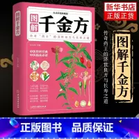 [正版]图解千金方 白话彩图典藏版 孙思邈著白话文版彩图详解图解千金方内容收录妙方偏方中成药中国古代中医学 凤凰书店