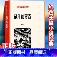 [正版]战斗的青春 雪克 中小学生革命红色长篇经典爱国主义教育文学丛书小故事阅读书籍 寒暑假课外书目