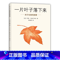 一片叶子落下来 [正版]()绘本馆 一片叶子落下来 精装绘本 南海出版公司 利奥•巴斯卡利亚著,任溶溶 译