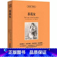 [正版]中英双语茶花女书英文版中英文双语名著 英汉对照互译英语小说 小仲马原著 读名著学英语 小学初中生高中生课外阅读
