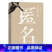 [正版] 匿名 王安忆 人民文学出版社 中国现代当代文学科幻小说书籍 推理小说《匿名》整个故事是一个大悬念生活中藏着隐