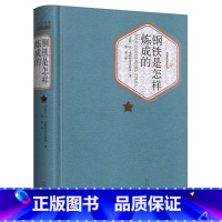 [人民文学]钢铁是怎样炼成的 [正版] 钢铁是怎样炼成的 奥斯特洛夫斯基 完整版原版精装无删减 初中生原著小学生八年级