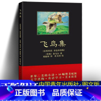 [正版] 飞鸟集(彩绘珍赏版) (印)拉宾德拉纳特·泰戈尔(汉英双语彩绘珍赏版)著 郑振铎 译杜文涓绘 世界名飞鸟集