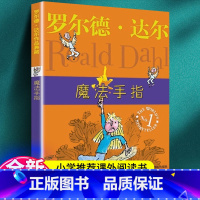 魔法手指 [正版]魔法手指 罗尔德·达尔作品典藏 小学三四五六年级课外阅读书目 经典儿童文学启蒙亲子读物 趣味童话故事