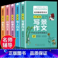 名师教你写作文全5册 小学二年级 [正版]名师教你写作文全5册(写人+写景+叙事+抒情+想象)小学生作文大全书好词好句好