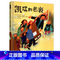 [正版]启发精选世界绘本 凯琪的包裹(精) 7-10岁精装绘本 儿童启蒙教育童书 亲子共读漫画故事书