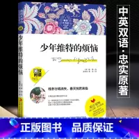 [正版]英语大书虫世界经典名译典藏书系少年维特的烦恼原版英汉对照中英文双语名著中文版英文版读名著学英语中英对照