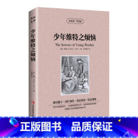 [正版]满件打折少年维特之烦恼读名著学英语原著英文版中文版英汉双语读物青少青少年版初高中小学生阅读世界名著小说书籍