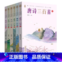 [完整版]唐诗300首+宋词300首 [正版]注音版唐诗宋词三百首完整版全集蜗牛国学馆鉴赏辞典300首小学生一年级二年级
