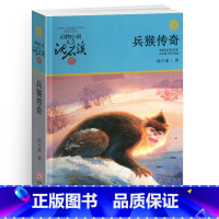 兵猴传奇 [正版]兵猴传奇沈石溪小学四年级五年级全集全套书浙江少年儿童出版社非注音版完整版动物小说大王品藏书系小学生课外