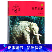 白象家族 [正版]白象家族沈石溪小学四年级五年级全集全套书浙江少年儿童出版社非注音版完整版动物小说大王品藏书系小学生课外