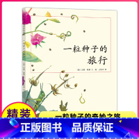 [正版]一粒种子的旅行儿童绘本小学一年级二三四年级课外书阅读故事南海出版社爱心树一颗种子的小旅程1得2馆非注音版硬壳