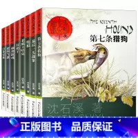 沈石溪画本(全套) [正版]沈石溪画本第一辑全套8册动物小说系列全集第七条猎狗后一头战象白象家族红奶羊非注音版五年级六年