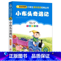 小布头奇遇记 [正版]4本28元小布头奇遇记注音版小学生阅读课外书一二三年级上下册儿童带拼音班主任新书书籍小书虫系列语文