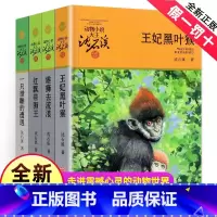 [正版]沈石溪动物小说全集作品全套共4册 王妃黑叶猴 红飘带狮王 雄狮去流浪一只猎雕的遭遇动物小说大王沈石溪品藏书系经