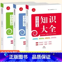 [三本不偏科套装]语数英知识大全 小学通用 [正版]小学语文知识大全人教版数学英语知识大全全国通用知识点全套基础手册大集