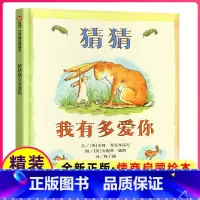 [正版]猜猜我有多爱你儿童绘本幼儿1一年级2二年级故事课外书阅读启蒙信谊明天出版社精装3-8岁6幼儿园小学不注音版拼音