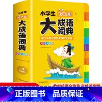 大成语词典 [正版]教育 抖音同款辞书 彩色本小学生大成语词典大语文素材词典小学大语文字典