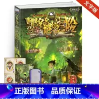 [正版]乌鸦城的诡局单本墨多多谜境冒险系列3阳光文字雷欧幻像书探险迷秘境历险记全套第册三全集全册买不可思议事件簿