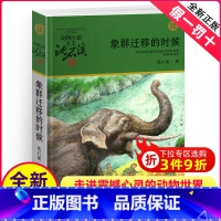 象群迁移的时候 [正版]象群迁移的时候沈石溪小学四年级五年级全集全套书浙江少年儿童出版社非注音版完整版动物小说大王品藏书