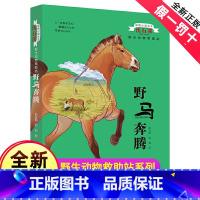 [正版]完整版野马奔腾全本沈石溪的书籍动物小说大王系列小学生四五六年级儿童文学作品珍藏大全全集单本一品藏阅读故事精品