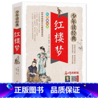 红楼梦 [正版]四大名著之红楼梦白话文版精编五六七八年级书籍人教小学生初中生青少年学生读中国珍藏原版少儿全集单1本典藏4